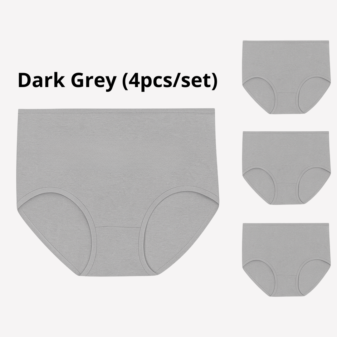 Women's Plus Size XL-4XL High Waisted Cotton Underwear (4pcs per pack)