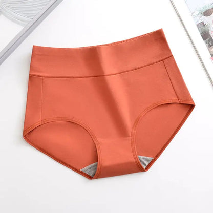 Women's Plus Size XL-4XL High Waisted Cotton Underwear (4pcs per pack)