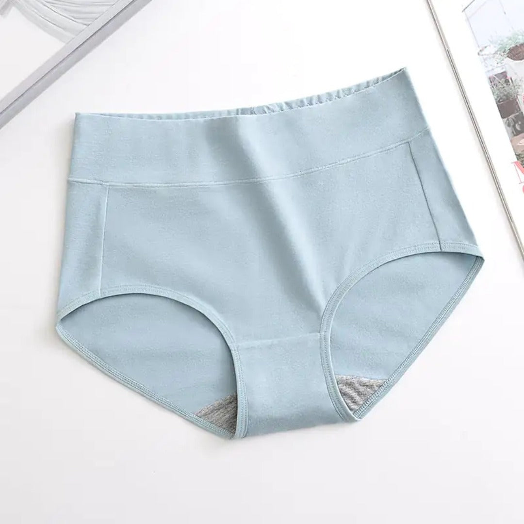 Women's Plus Size XL-4XL High Waisted Cotton Underwear (4pcs per pack)