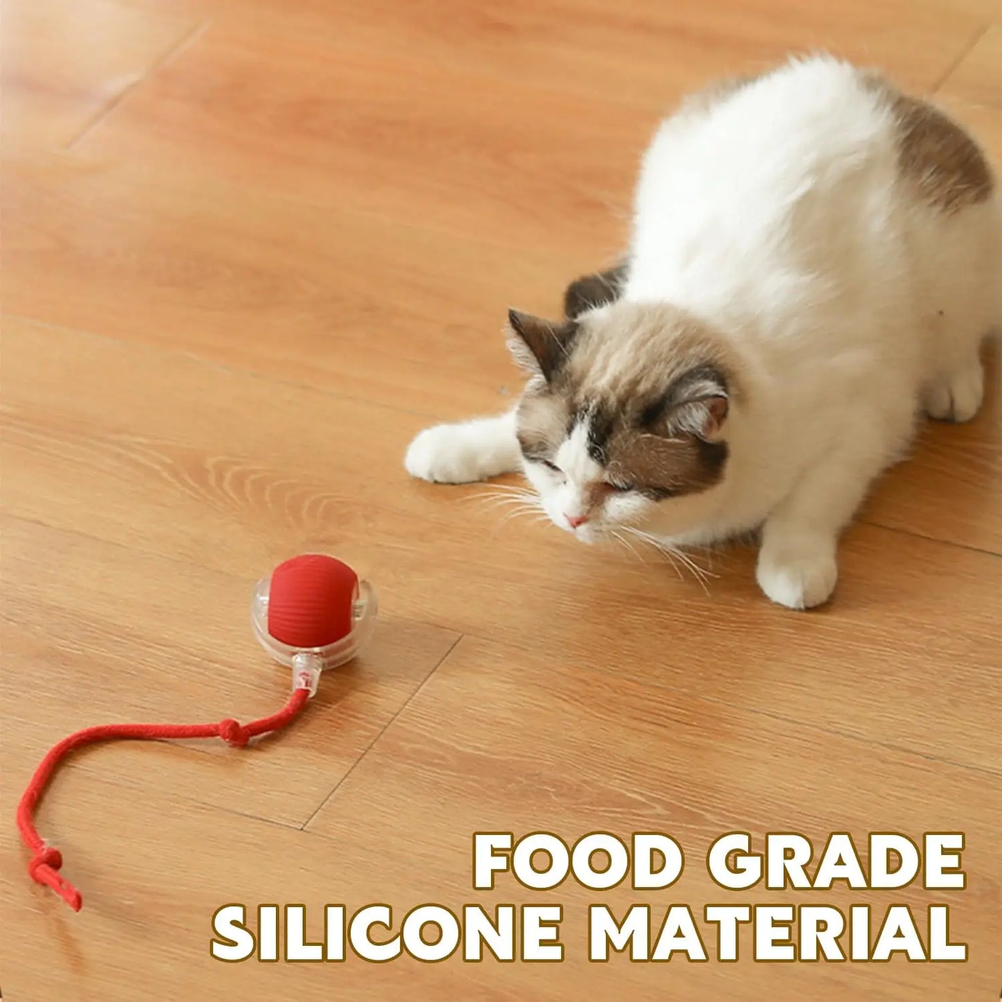 Electric Interactive Rolling Ball™ - Bella & Butch