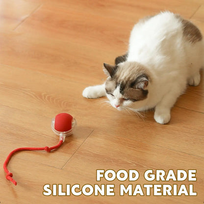 Electric Interactive Rolling Ball™ - Bella & Butch