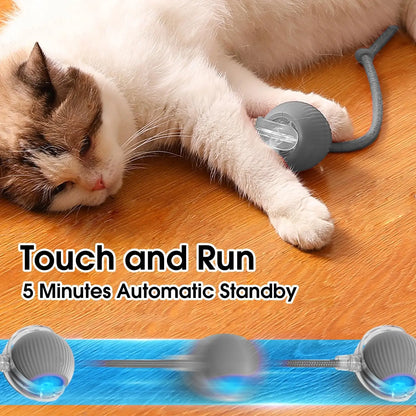 Electric Interactive Rolling Ball™ - Bella & Butch