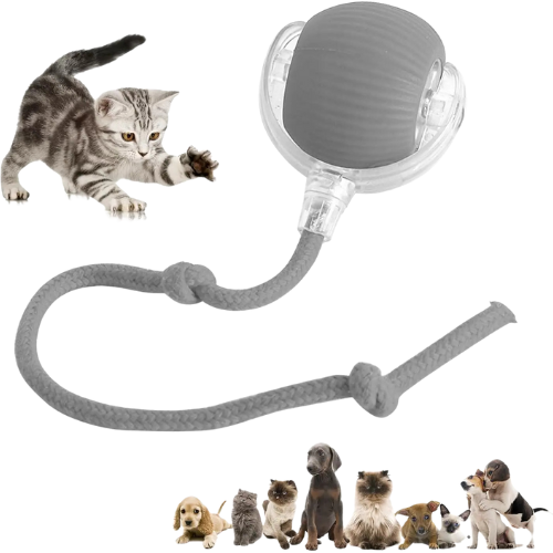 Electric Interactive Rolling Ball™ - Bella & Butch